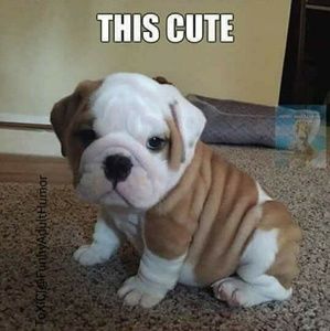 Meet your Posher, Cathy